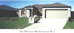 The_Hibiscus_Mediterranean_No_2
